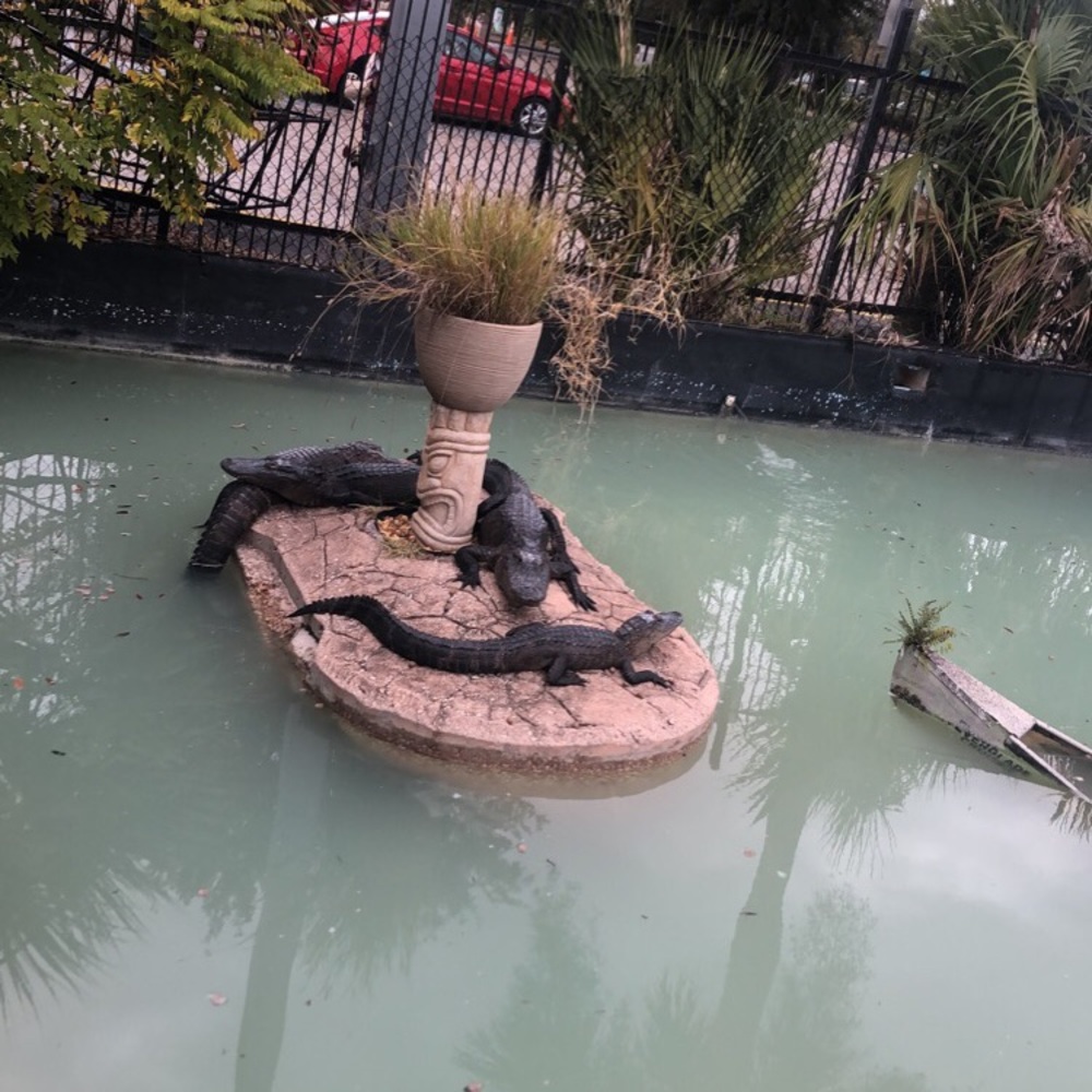 Meet your Posher, Daniela